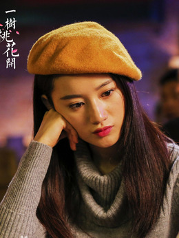 一树桃花开剧情介绍_天天影视