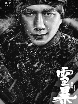 雪暴剧情介绍_天天影视