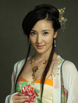 大唐女将樊梨花剧情介绍_天天影视