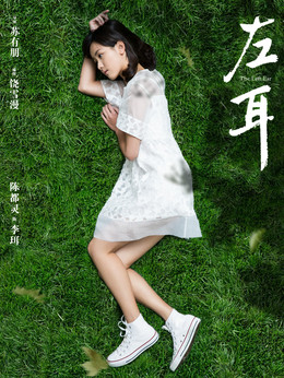 左耳剧情介绍_天天影视