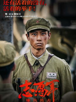 志愿军：雄兵出击剧情介绍_天天影视