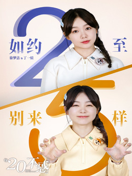 二十不惑2剧情介绍_天天影视