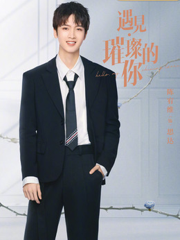 遇见·璀璨的你剧情介绍_天天影视