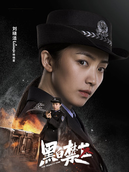 黑白禁区剧情介绍_天天影视