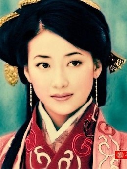 大汉天子剧情介绍_天天影视