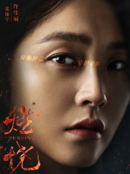 燃烧剧情介绍_天天影视