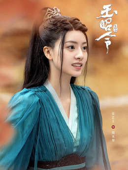 玉昭令剧情介绍_天天影视