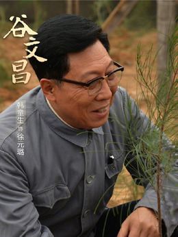 谷文昌剧情介绍_天天影视