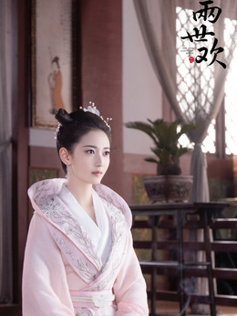 两世欢剧情介绍_天天影视