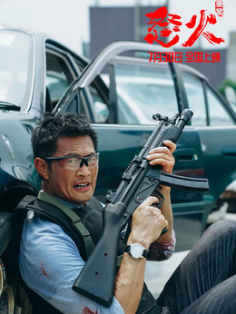 怒火·重案剧情介绍_天天影视