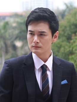 情满雪阳花剧情介绍_天天影视