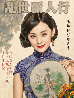 乱世丽人行剧情介绍_天天影视