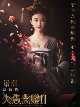 大唐荣耀2剧情介绍_天天影视
