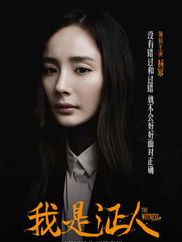 我是证人剧情介绍_天天影视