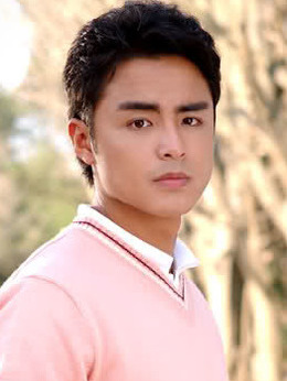 王子变青蛙剧情介绍_天天影视