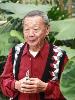 童话二分之一剧情介绍_天天影视