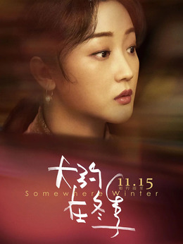 大约在冬季剧情介绍_天天影视