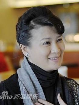 老严有女不愁嫁剧情介绍_天天影视