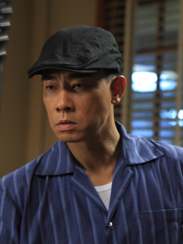 叶问：终极一战剧情介绍_天天影视