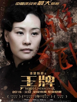 王牌剧情介绍_天天影视