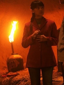 决战刹马镇剧情介绍_天天影视