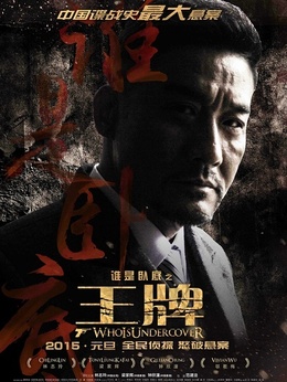 王牌剧情介绍_天天影视