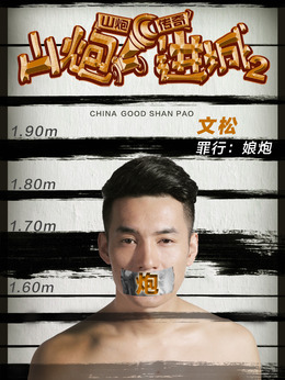 山炮进城2剧情介绍_天天影视