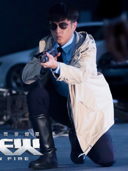 冲天火剧情介绍_天天影视