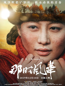 那时风华剧情介绍_天天影视