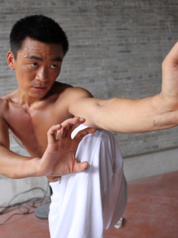 蔡李佛拳剧情介绍_天天影视