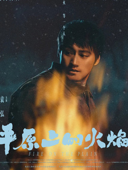 平原上的火焰剧情介绍_天天影视