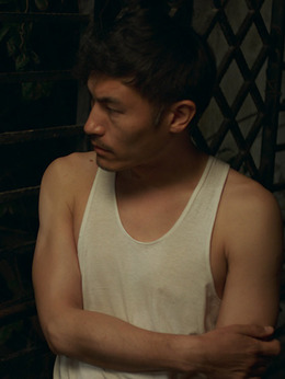 嘉年华剧情介绍_天天影视