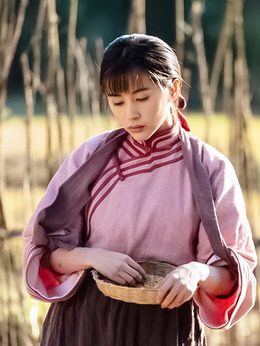 进京城剧情介绍_天天影视