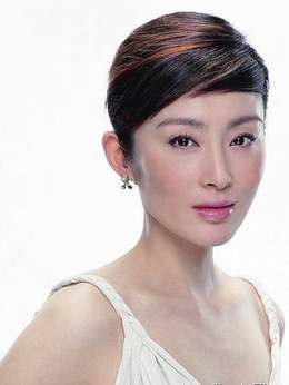 新碧血剑剧情介绍_天天影视