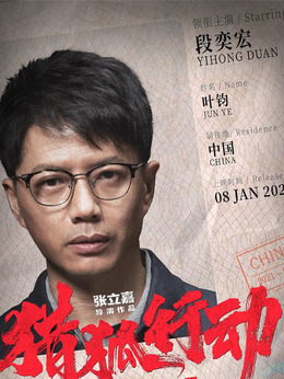 猎狐行动剧情介绍_天天影视