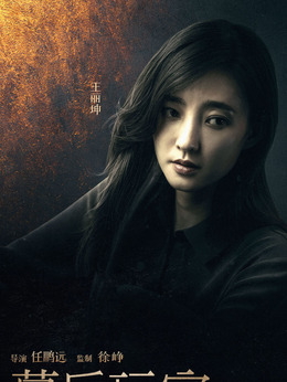 幕后玩家剧情介绍_天天影视