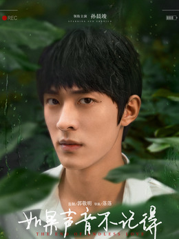 如果声音不记得剧情介绍_天天影视