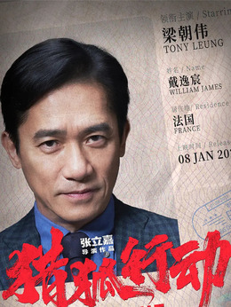 猎狐行动剧情介绍_天天影视