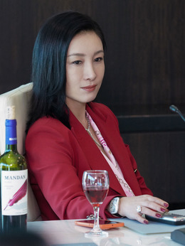 扫黑行动剧情介绍_天天影视