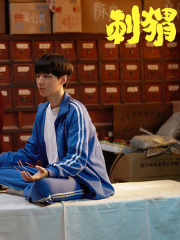 刺猬剧情介绍_天天影视