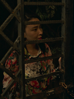 嘉年华剧情介绍_天天影视