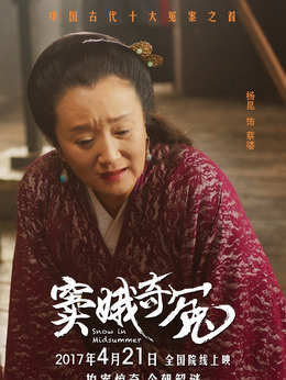 窦娥奇冤剧情介绍_天天影视