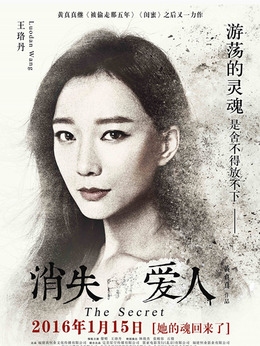 消失的爱人剧情介绍_天天影视