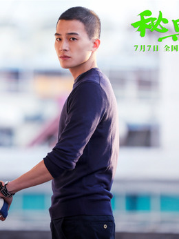 秘果剧情介绍_天天影视