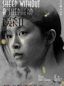 误杀2剧情介绍_天天影视