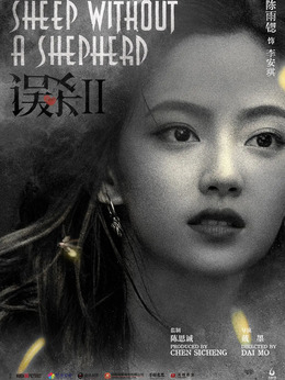 误杀2剧情介绍_天天影视