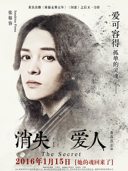 消失的爱人剧情介绍_天天影视