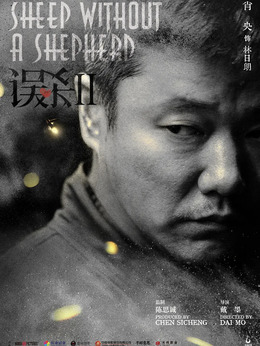 误杀2剧情介绍_天天影视