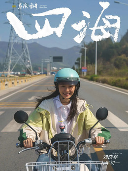 四海剧情介绍_天天影视