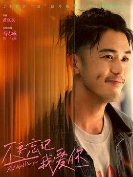 不要忘记我爱你剧情介绍_天天影视